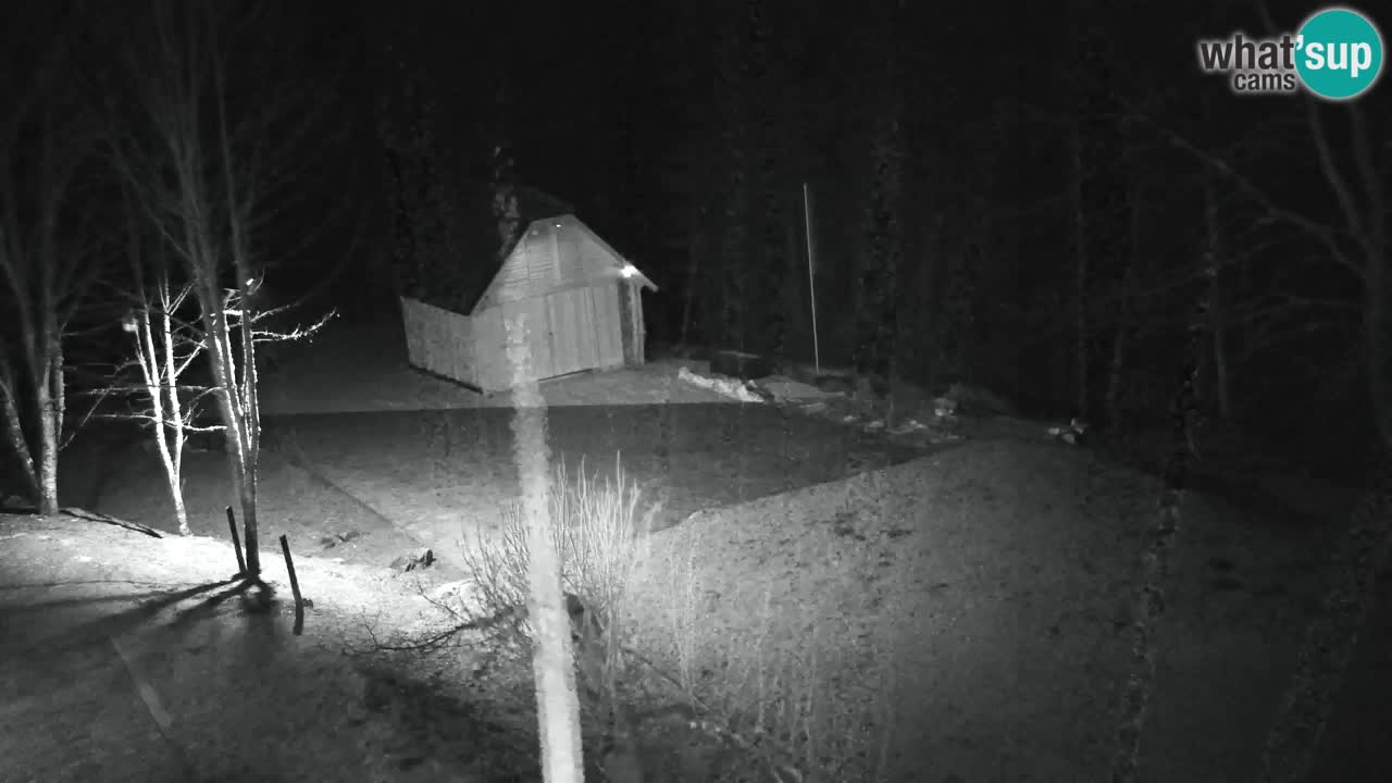 Webcam Lukanja – Water Village | Pohorje Houses