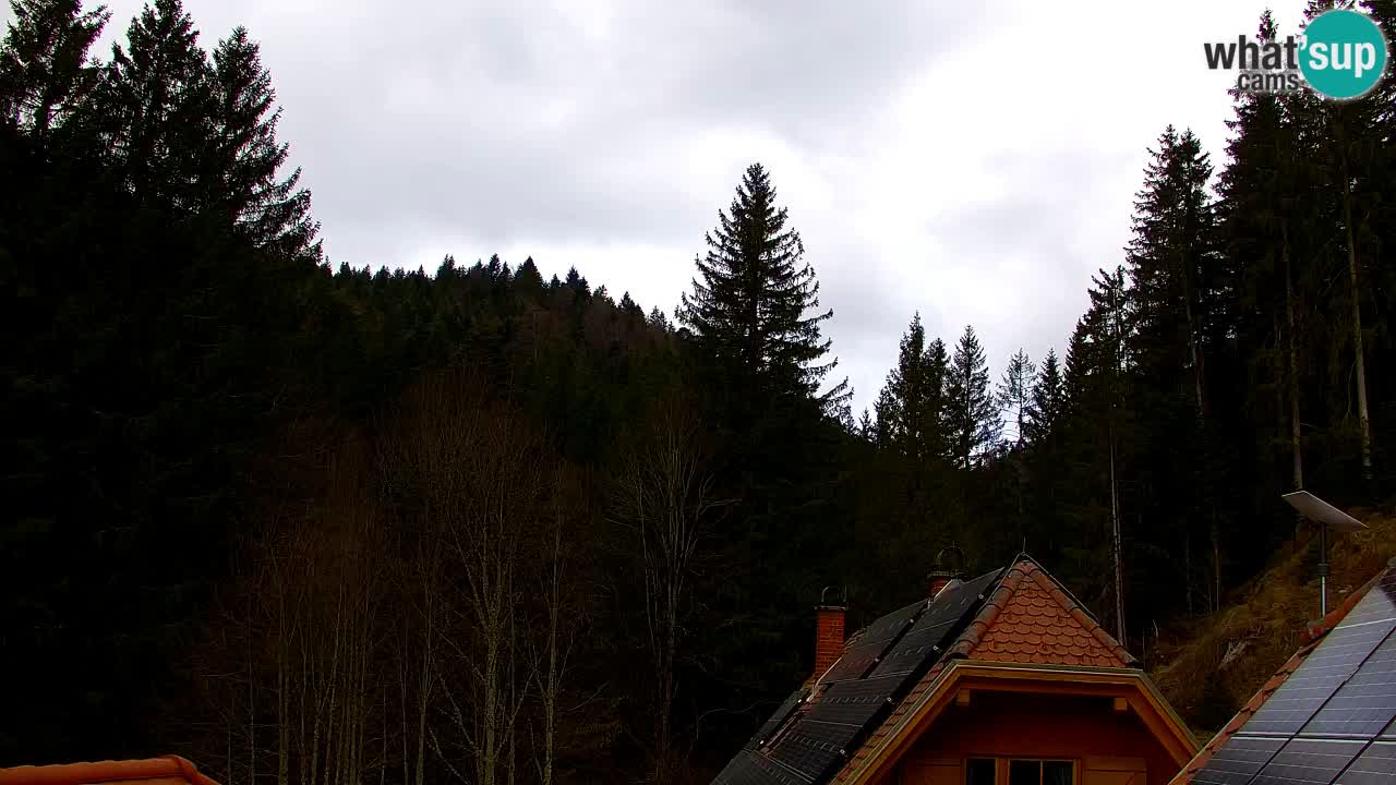 Webcam Lukanja – Pohorje houses a Water village