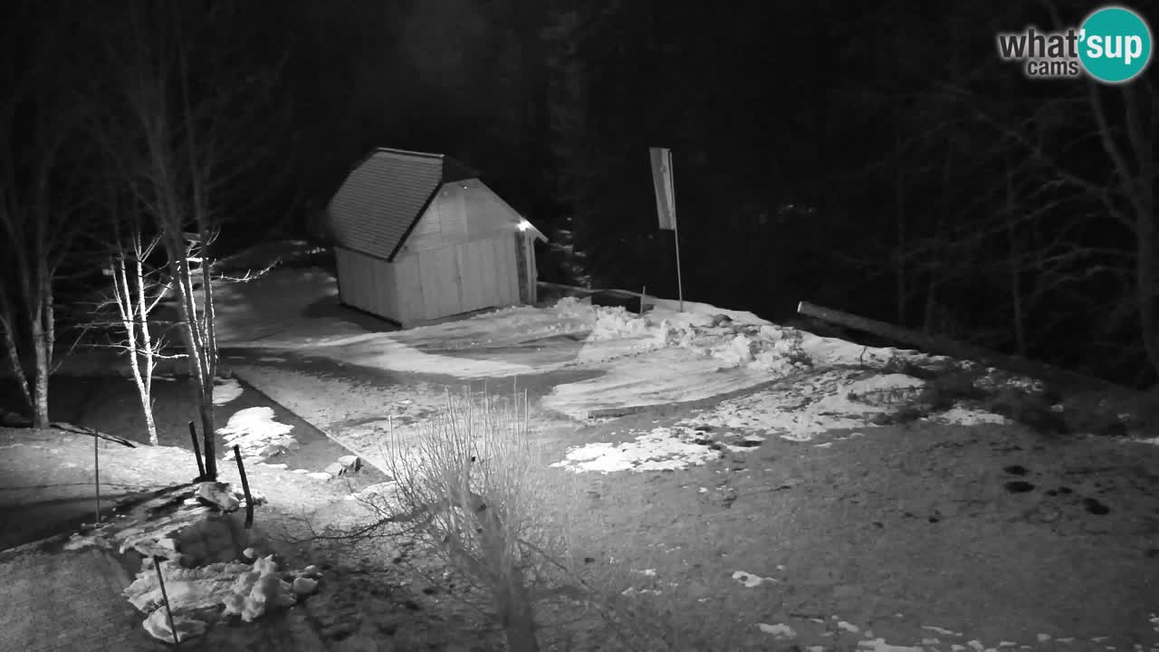 Webcam Lukanja – Pohorje houses a Water village