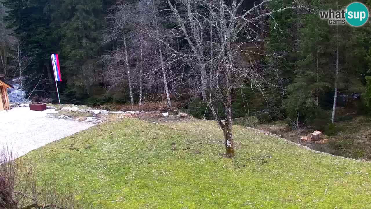 Web kamera Lukanja – Water Village | Pohorje Houses