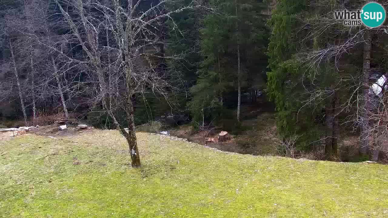 Web kamera Lukanja – Water Village | Pohorje Houses