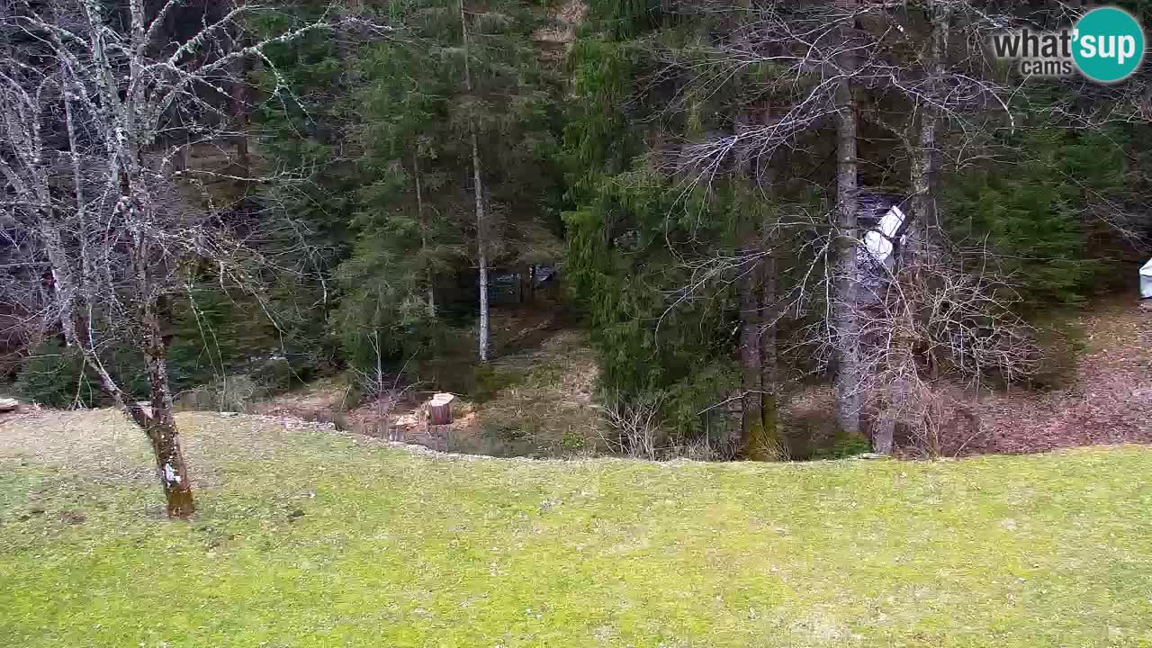 Webcam Lukanja – Water Village | Pohorje Houses