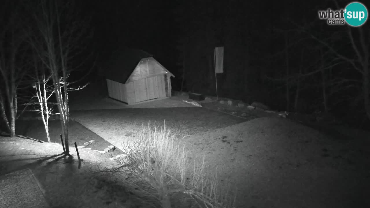 Spletna kamera Lukanja – Water Village | Pohorje Houses