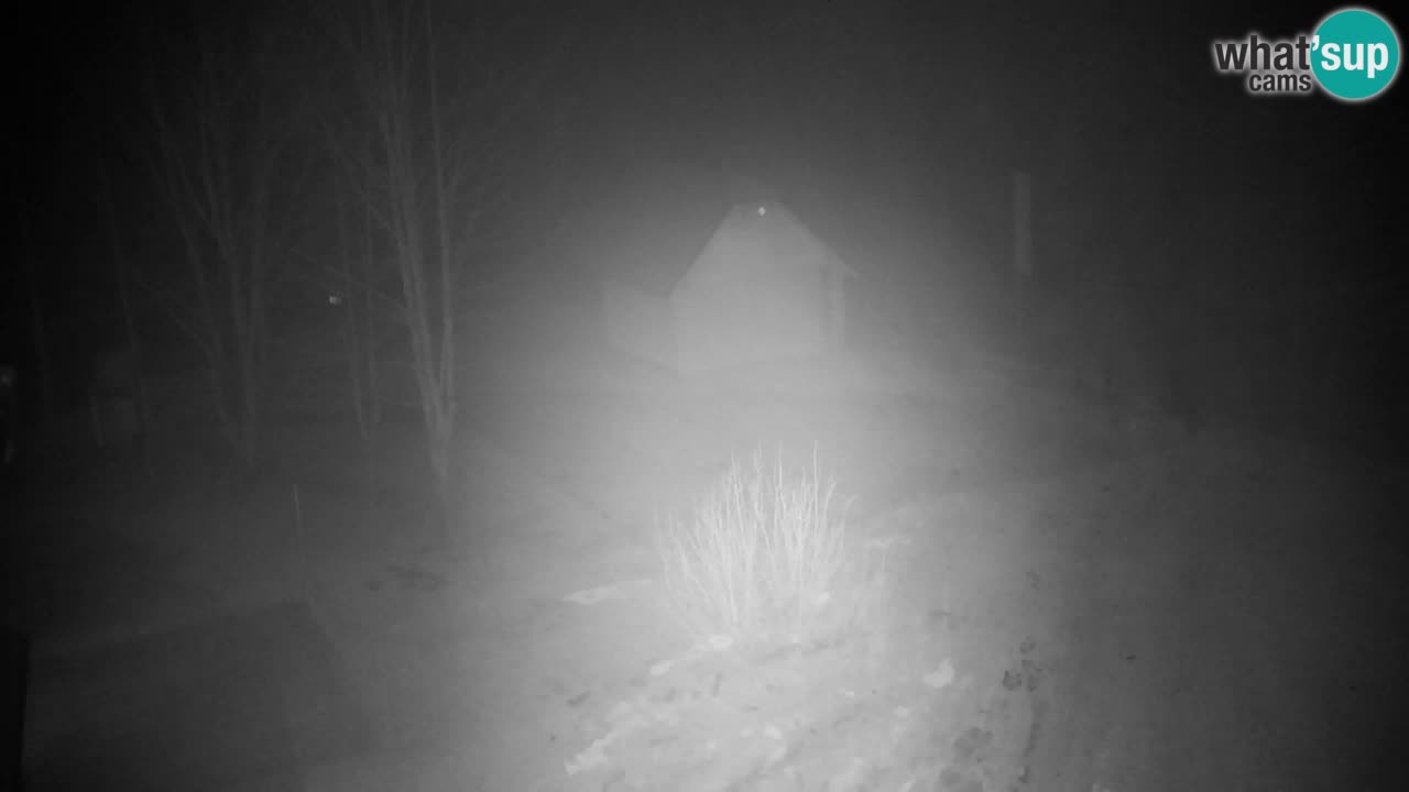 Webcam Lukanja – Pohorje houses a Water village