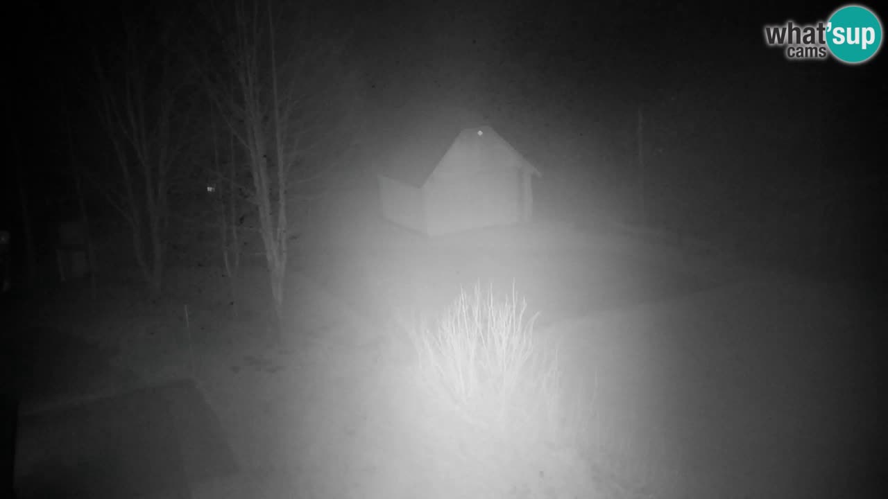 Webcam Lukanja – Water Village | Pohorje Houses