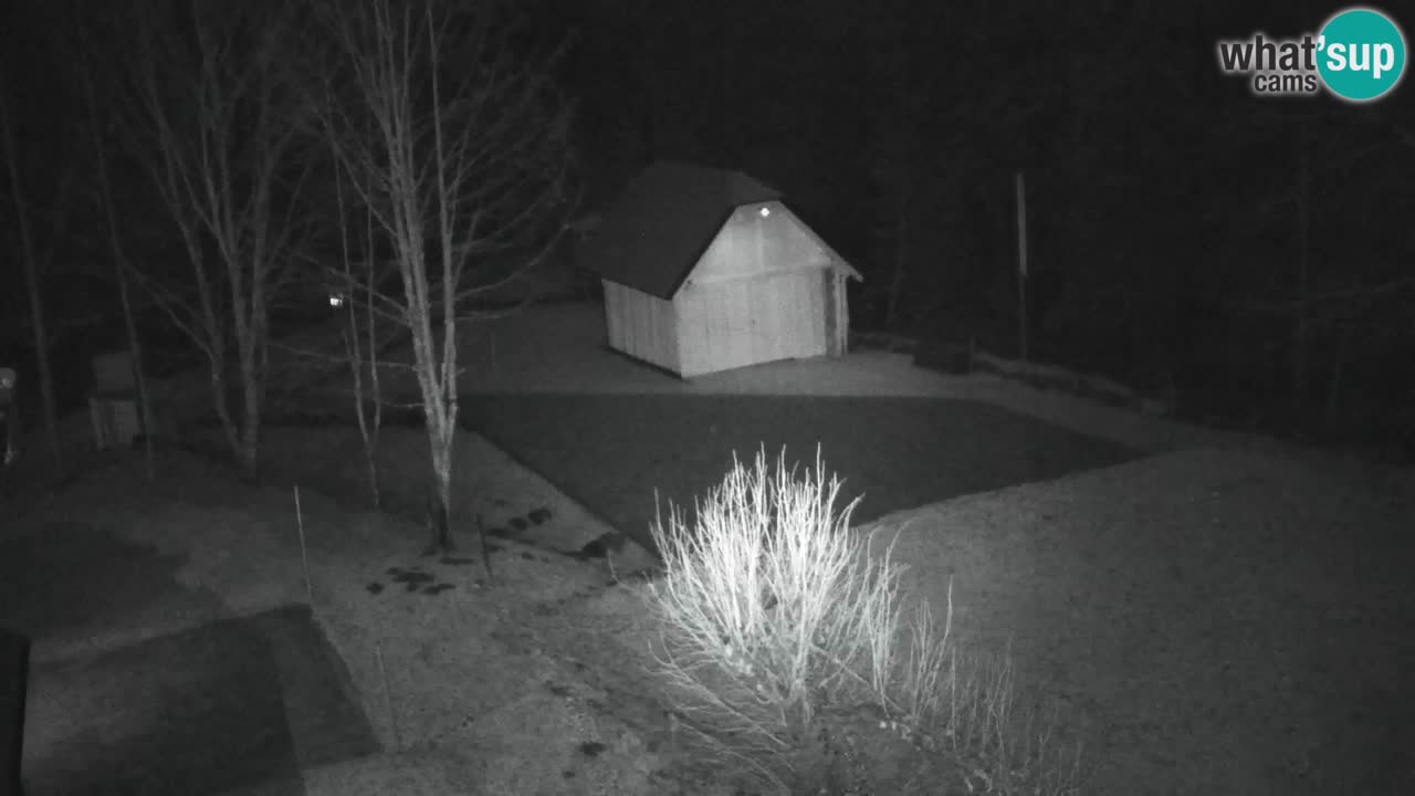 Webcam Lukanja – Water Village | Pohorje Houses