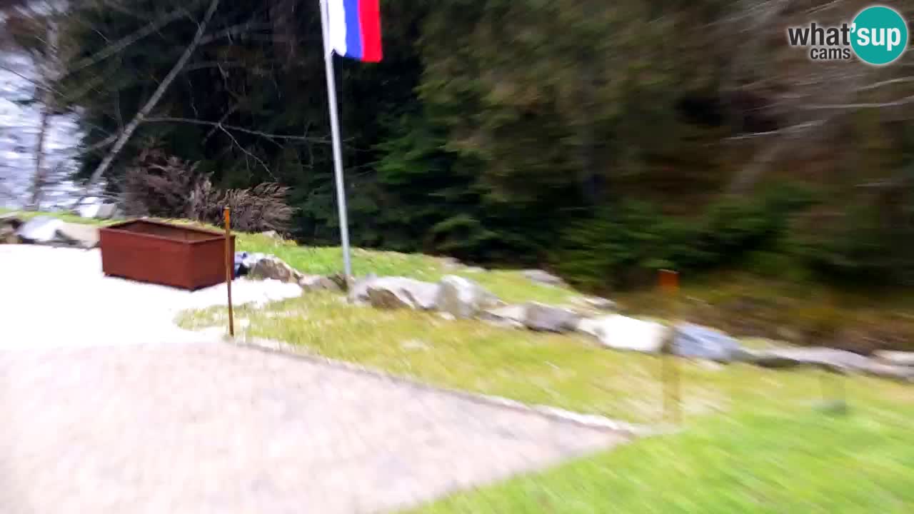 Web kamera Lukanja – Water Village | Pohorje Houses