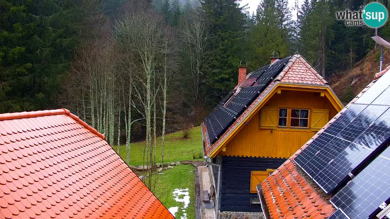 Webcam Lukanja – Pohorje houses a Water village