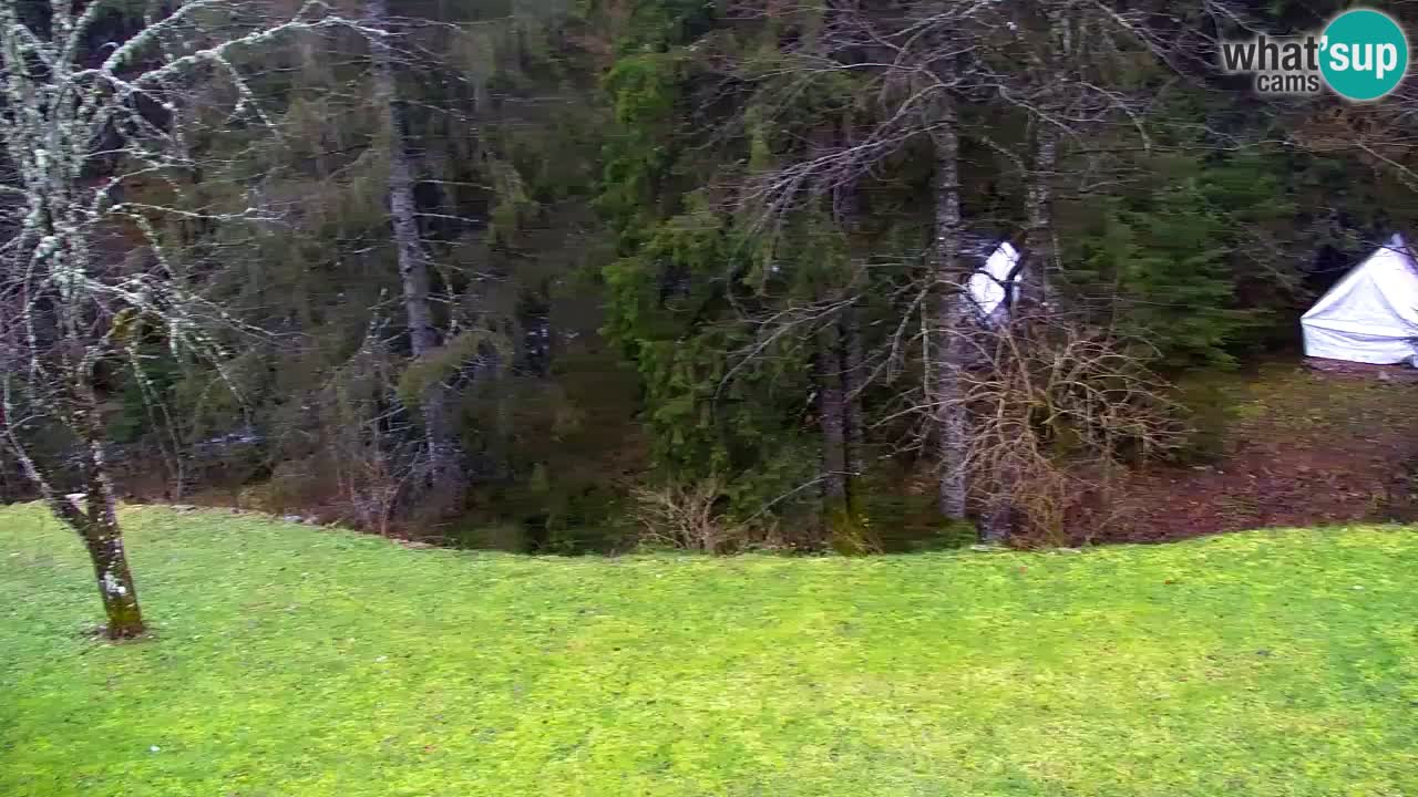 Webcam Lukanja – Pohorje houses a Water village