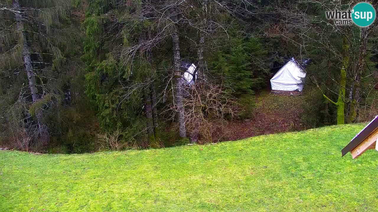 Webcam Lukanja – Water Village | Pohorje Houses