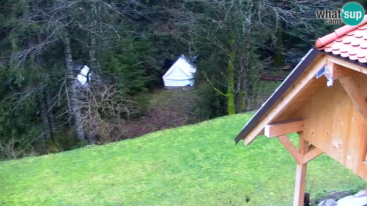 Webcam Lukanja – Water Village | Pohorje Houses