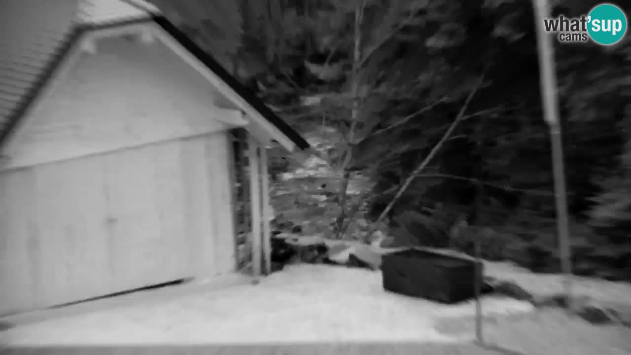 Webcam Lukanja – Pohorje houses a Water village