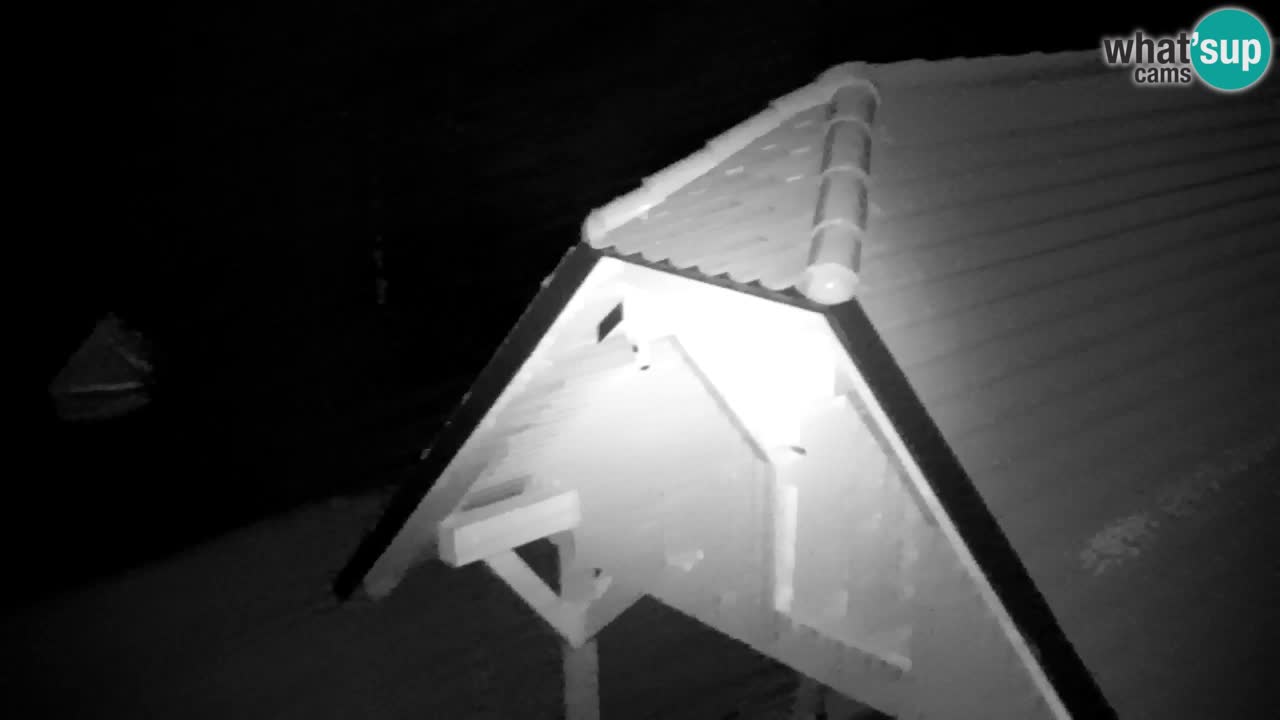 Webcam Lukanja – Pohorje houses a Water village