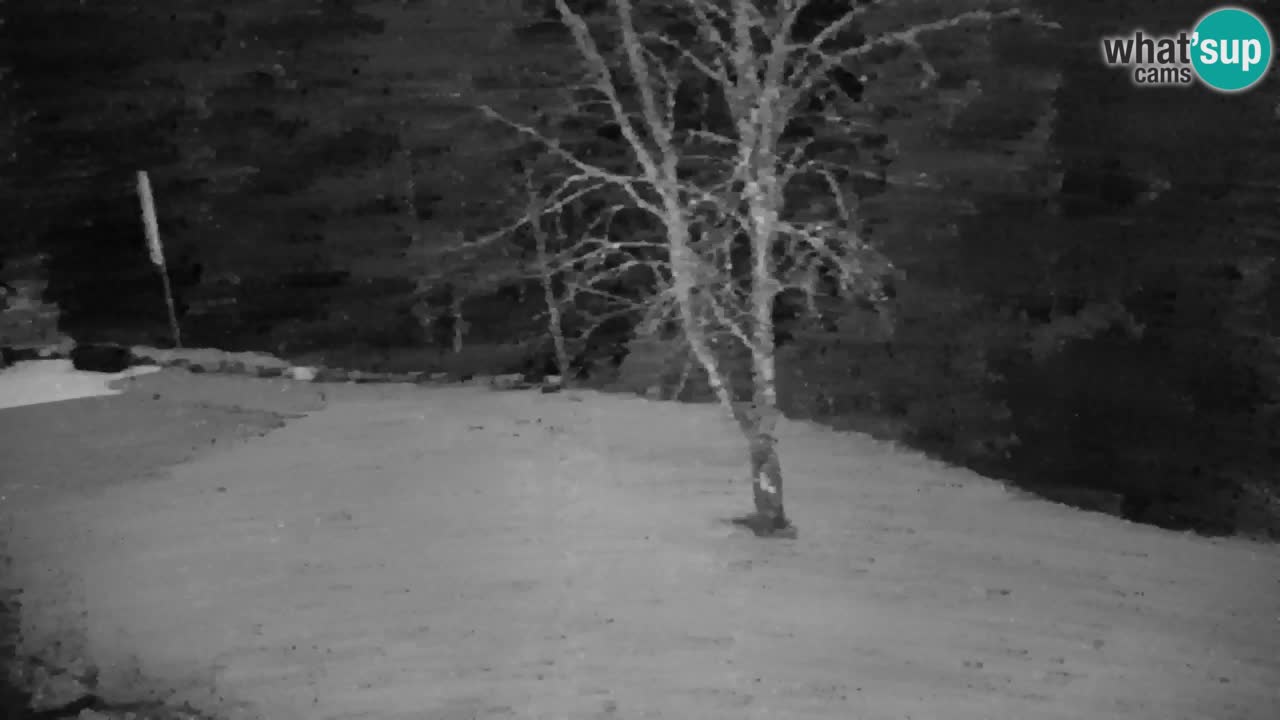 Webcam Lukanja – Water Village | Pohorje Houses