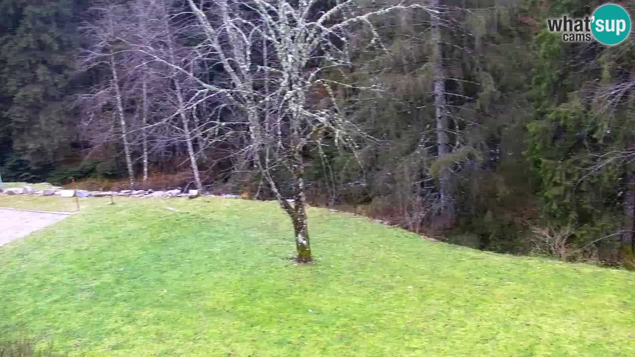 Spletna kamera Lukanja – Water Village | Pohorje Houses