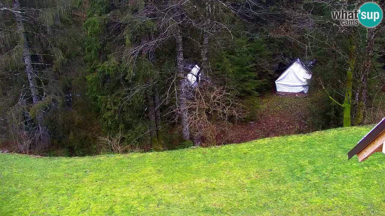 Webcam Lukanja – Water Village | Pohorje Houses