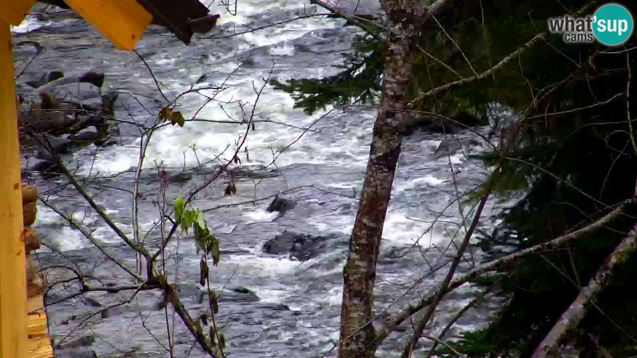 Webcam Lukanja – Water Village | Pohorje Houses