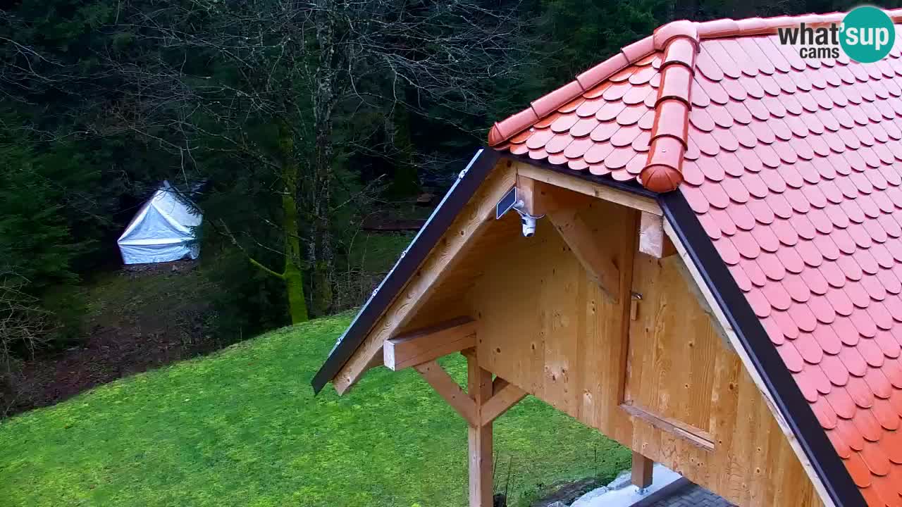 Webcam Lukanja – Pohorje houses a Water village