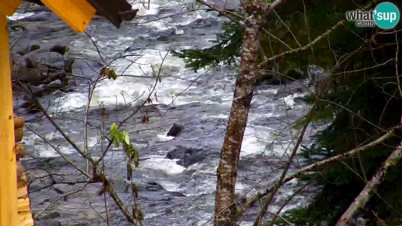 Webcam Lukanja – Water Village | Pohorje Houses