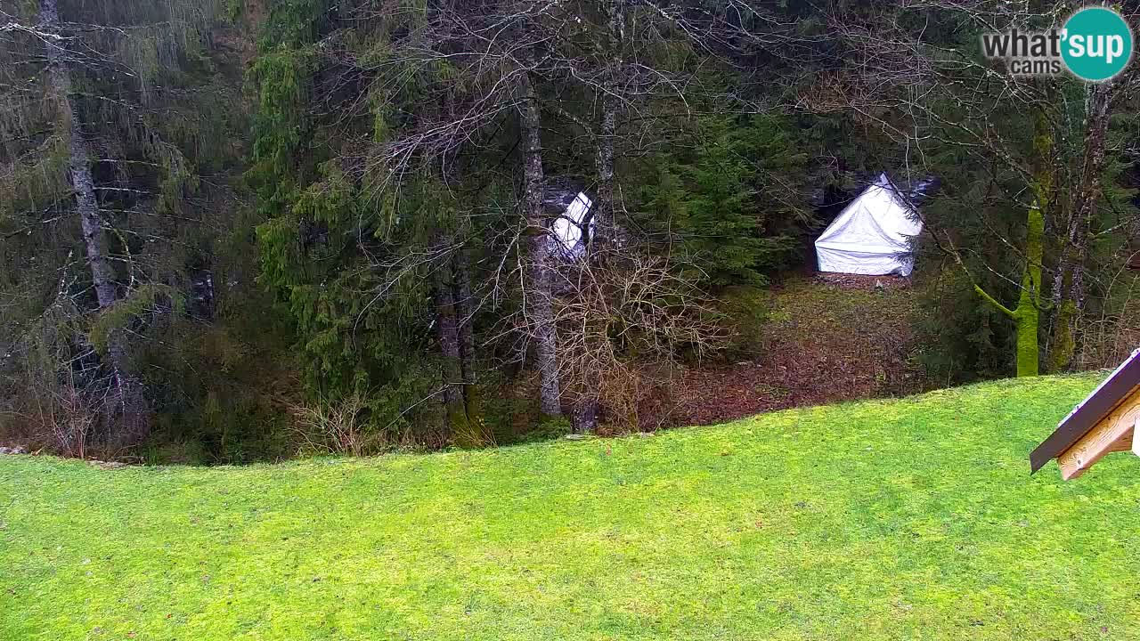 Webcam Lukanja – Water Village | Pohorje Houses