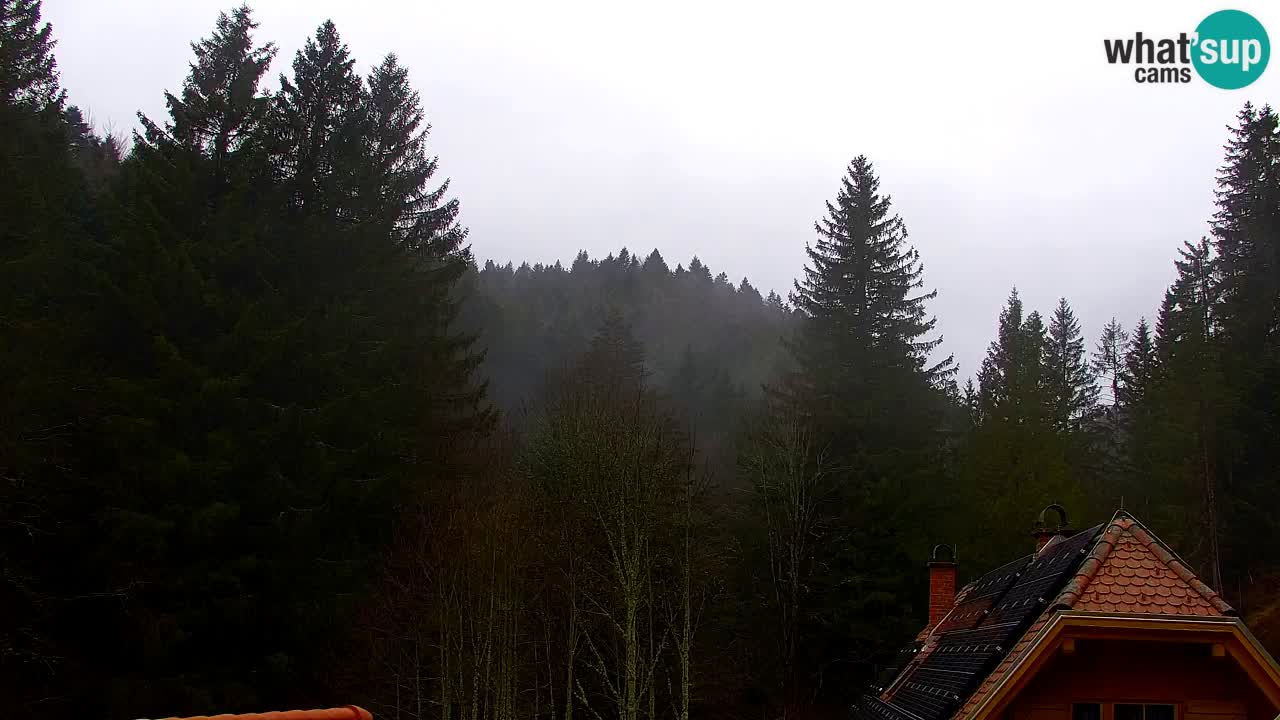 Webcam Lukanja – Pohorje houses a Water village