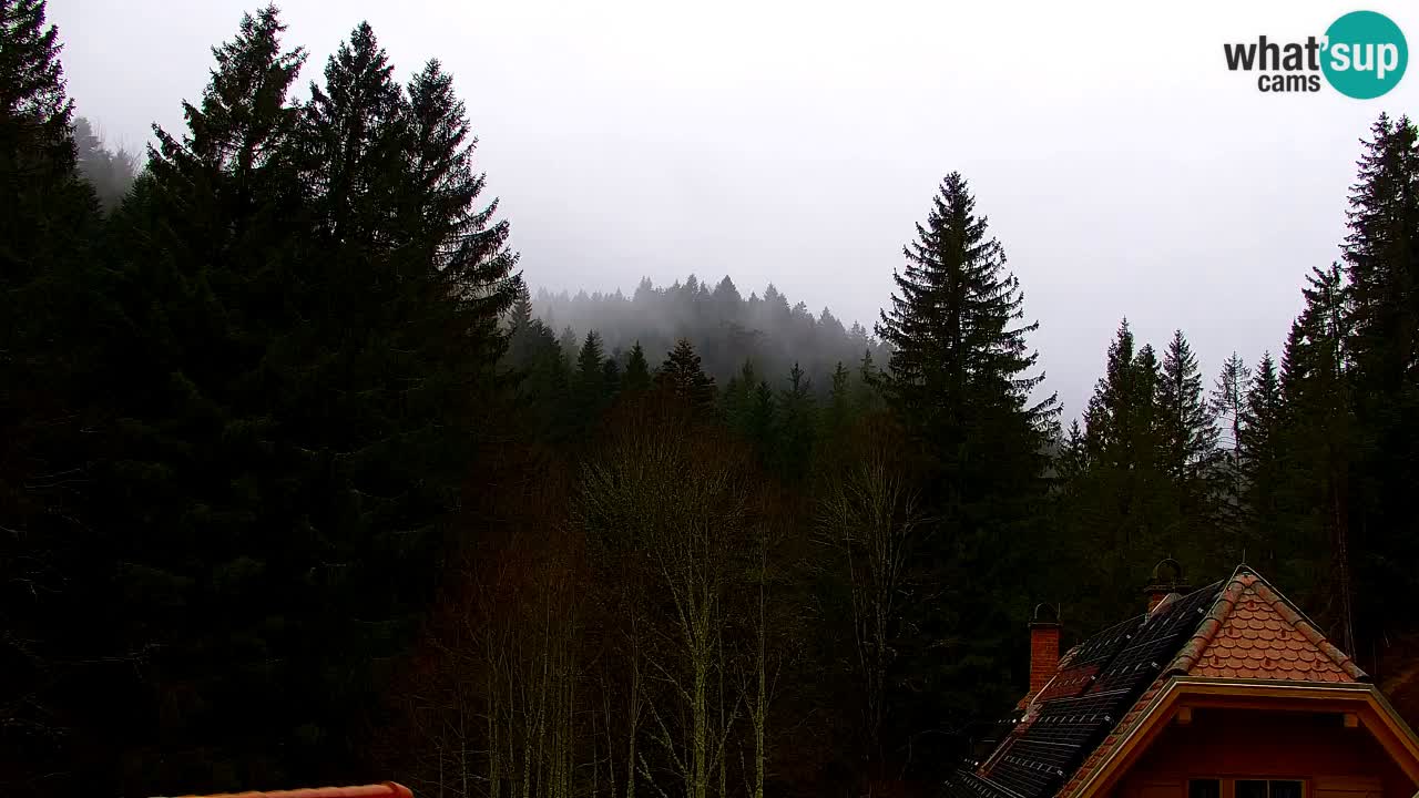 Webcam Lukanja – Pohorje houses a Water village