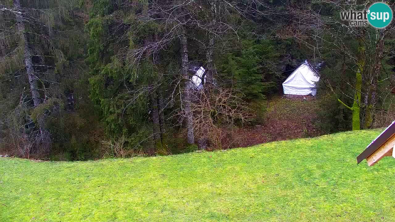 Webcam Lukanja – Water Village | Pohorje Houses