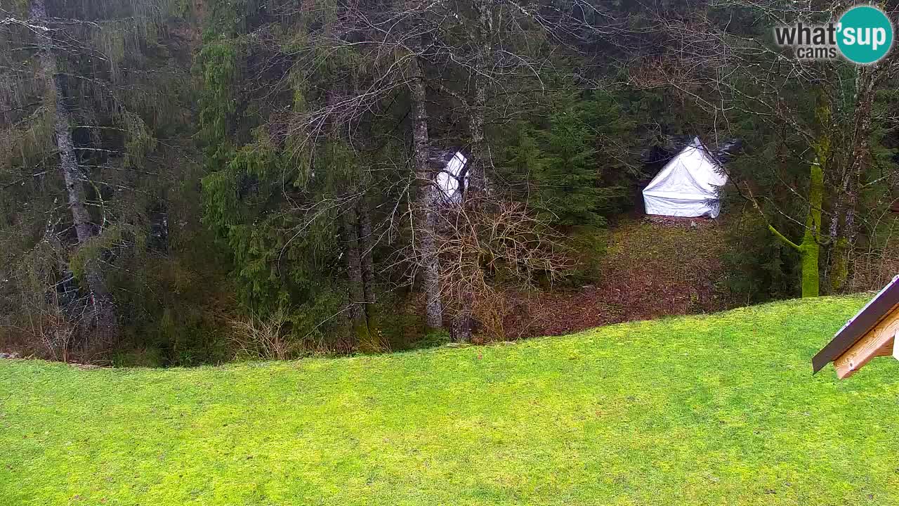 Webcam Lukanja – Pohorje houses a Water village