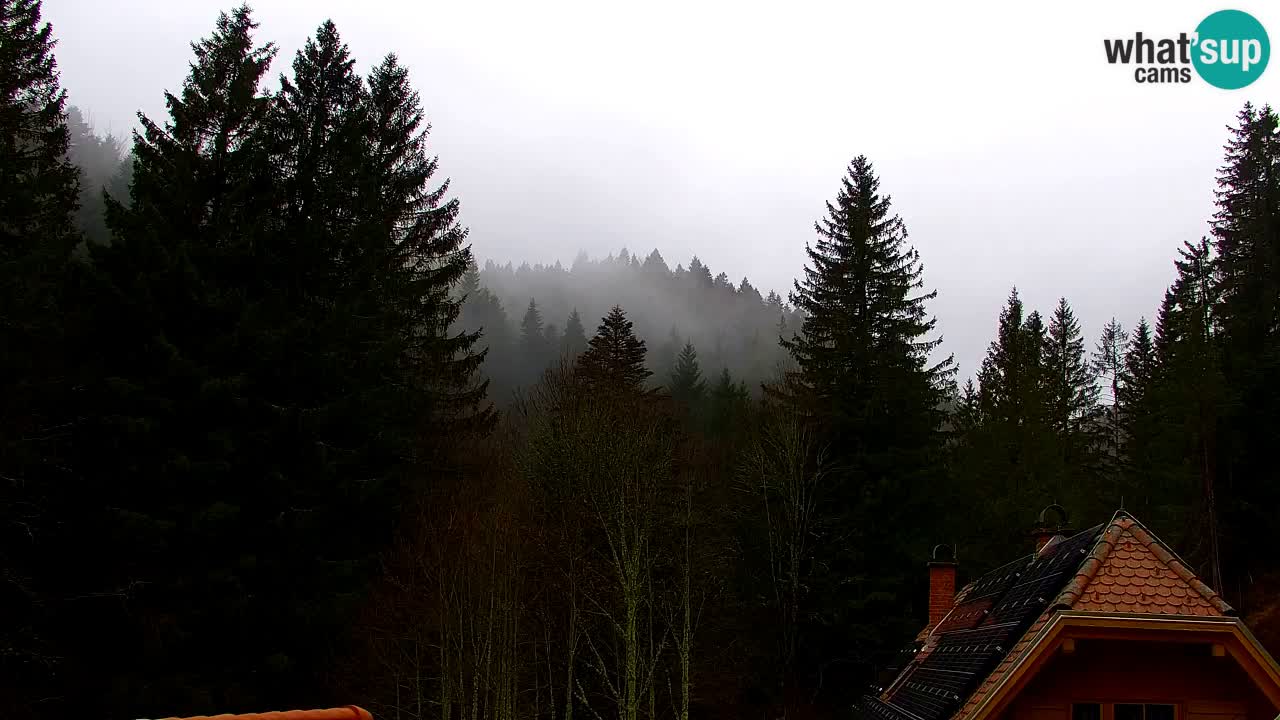 Webcam Lukanja – Water Village | Pohorje Houses