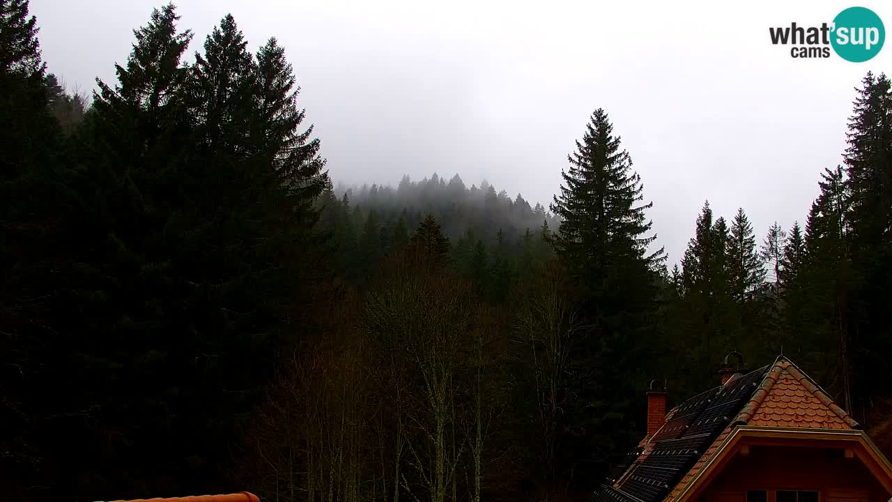 Webcam Lukanja – Water Village | Pohorje Houses