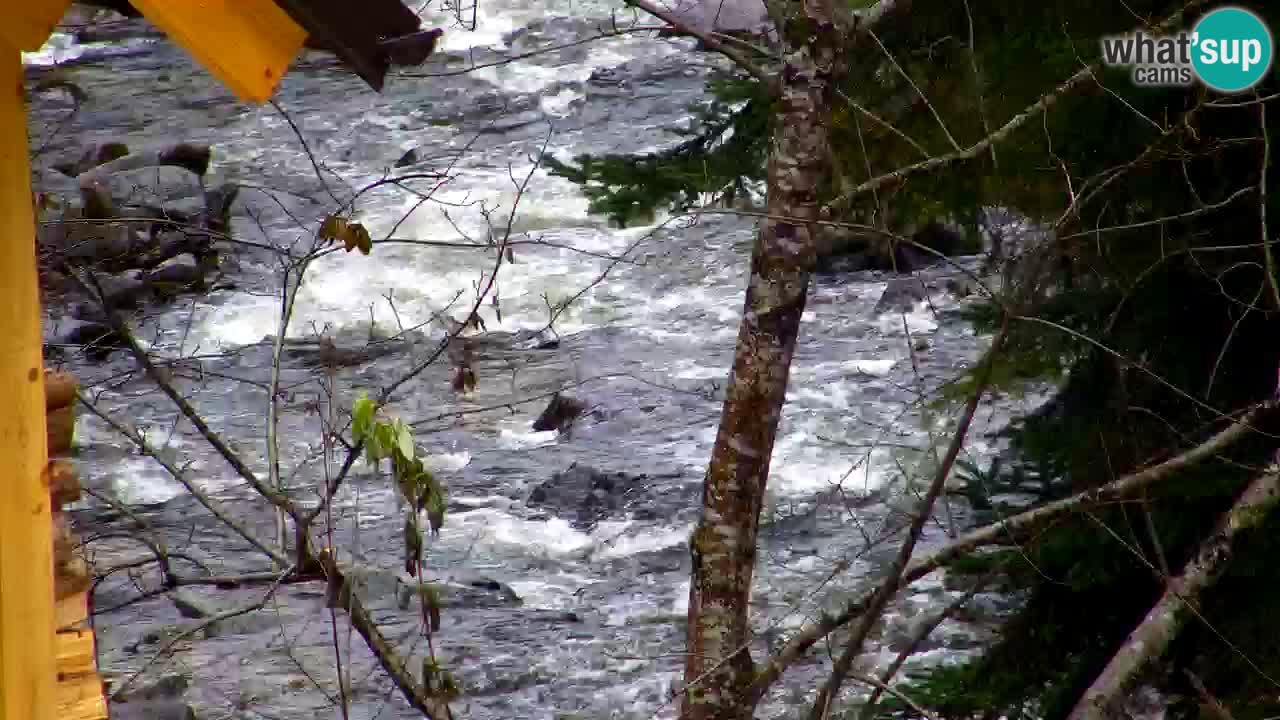 Webcam Lukanja – Pohorje houses a Water village