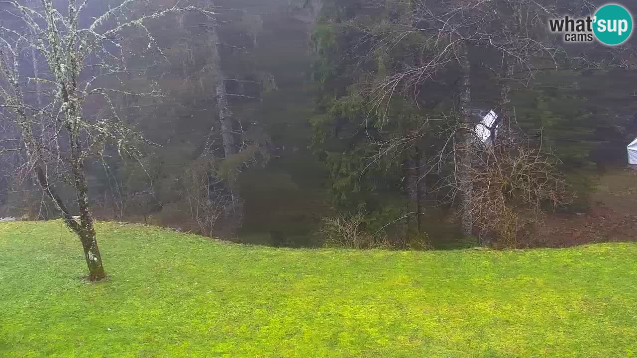 Webcam Lukanja – Water Village | Pohorje Houses