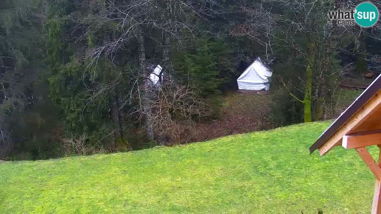 Webcam Lukanja – Water Village | Pohorje Houses