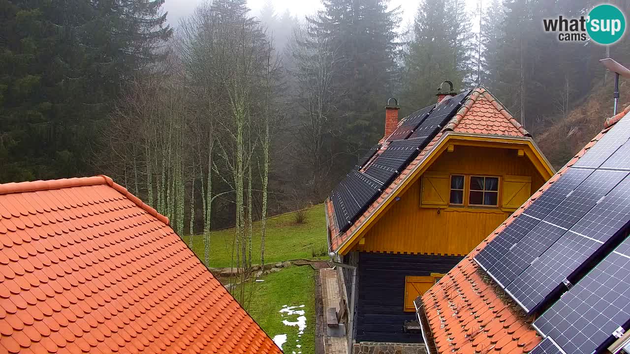 Webcam Lukanja – Water Village | Pohorje Houses