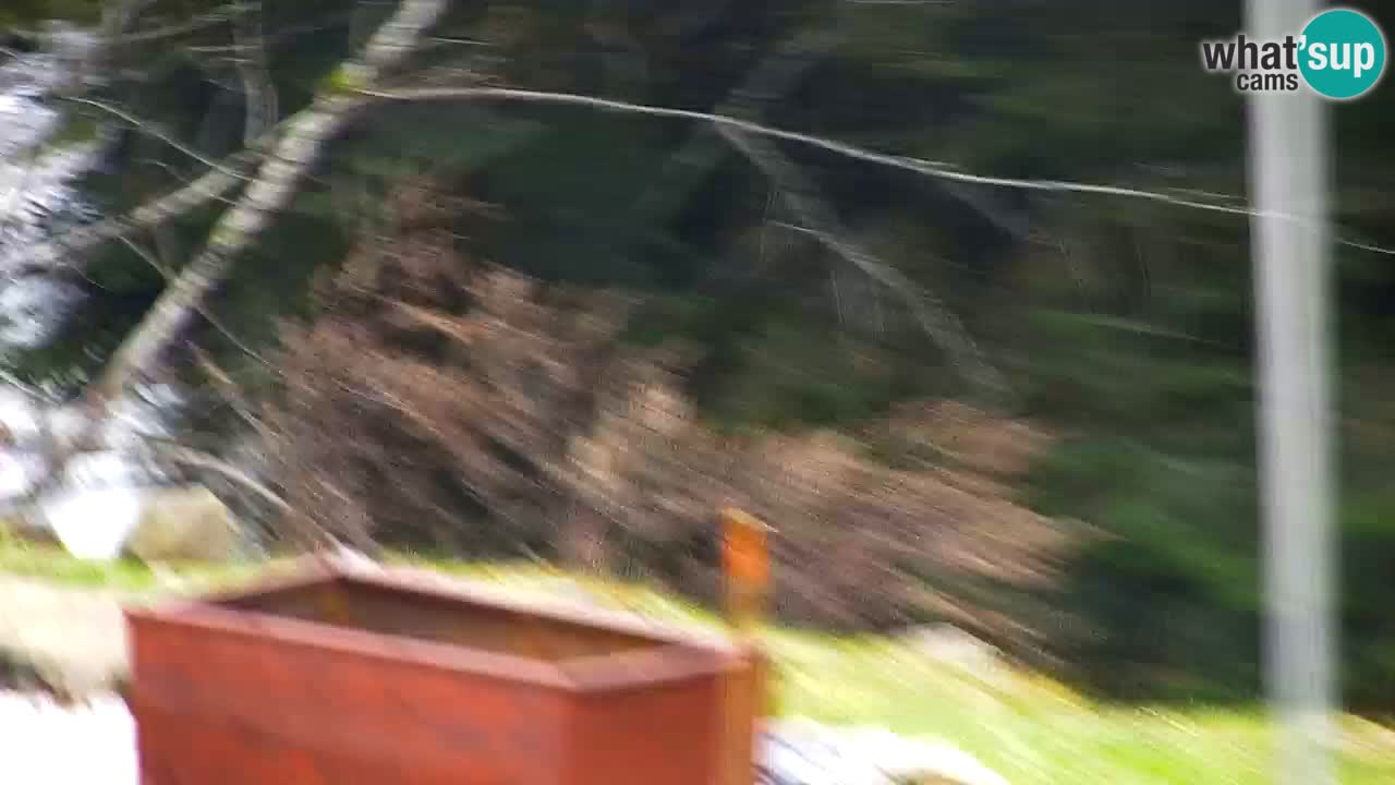 Webcam Lukanja – Water Village | Pohorje Houses