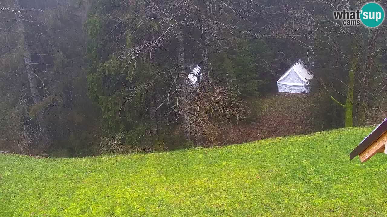 Webcam Lukanja – Water Village | Pohorje Houses