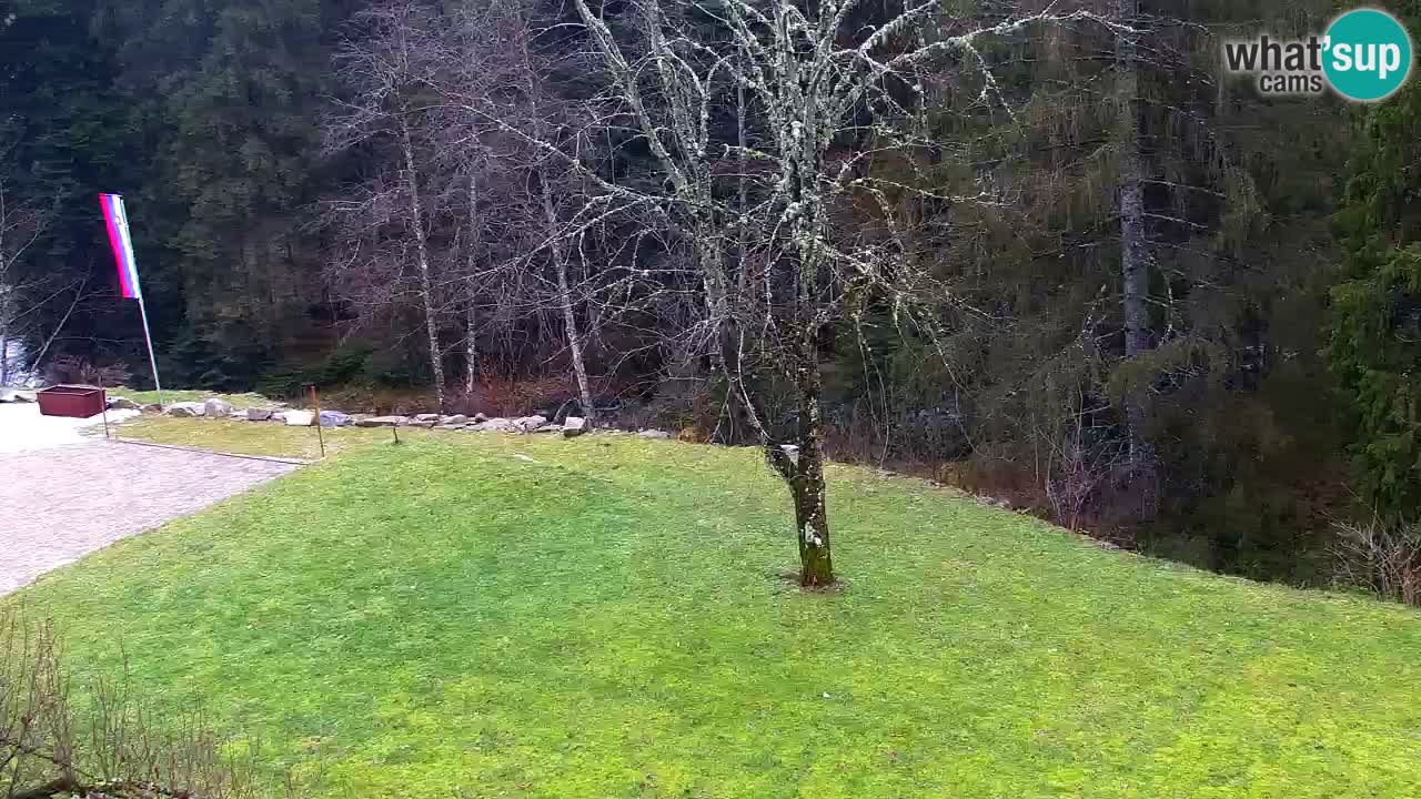 Webcam Lukanja – Water Village | Pohorje Houses