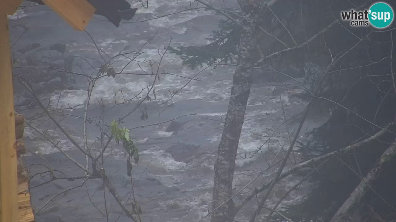 Webcam Lukanja – Pohorje houses a Water village