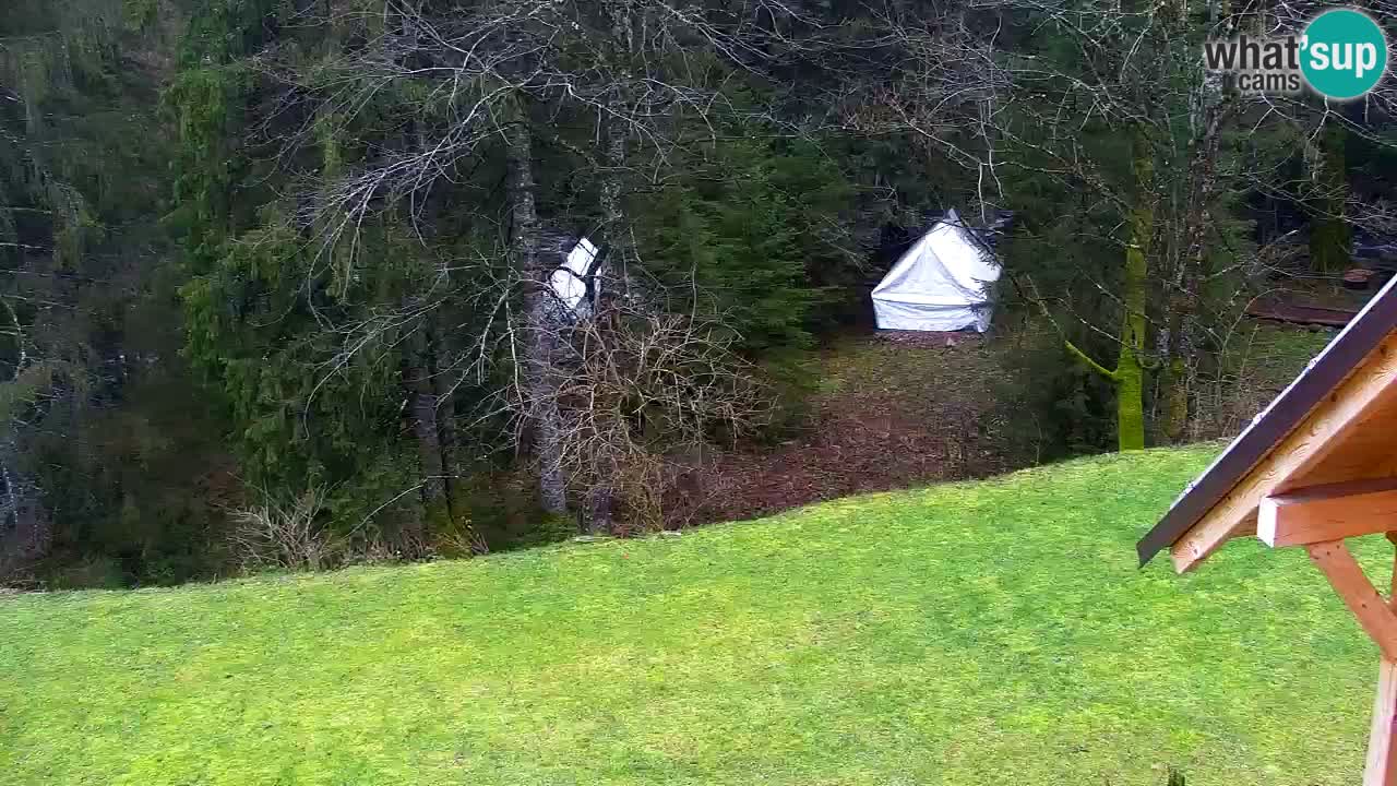 Webcam Lukanja – Water Village | Pohorje Houses