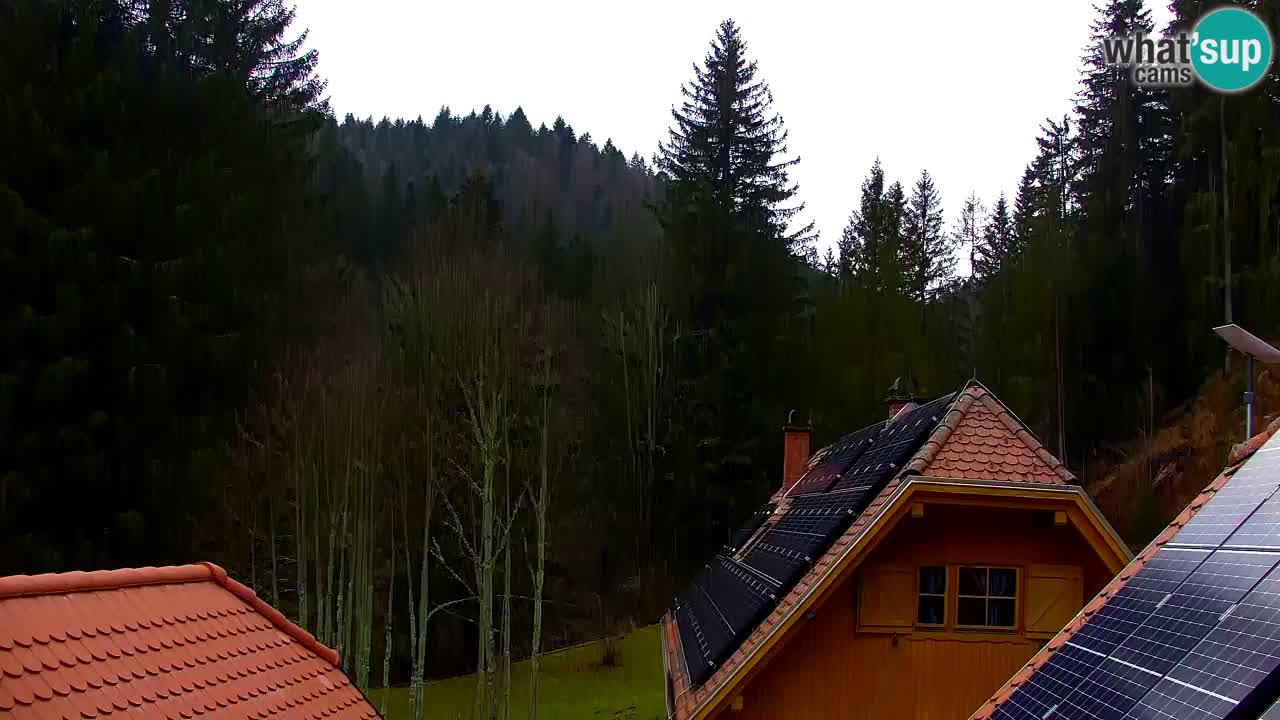 Spletna kamera Lukanja – Water Village | Pohorje Houses