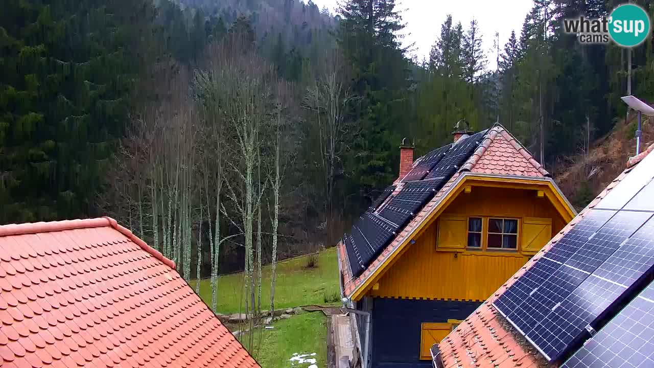 Webcam Lukanja – Pohorje houses a Water village