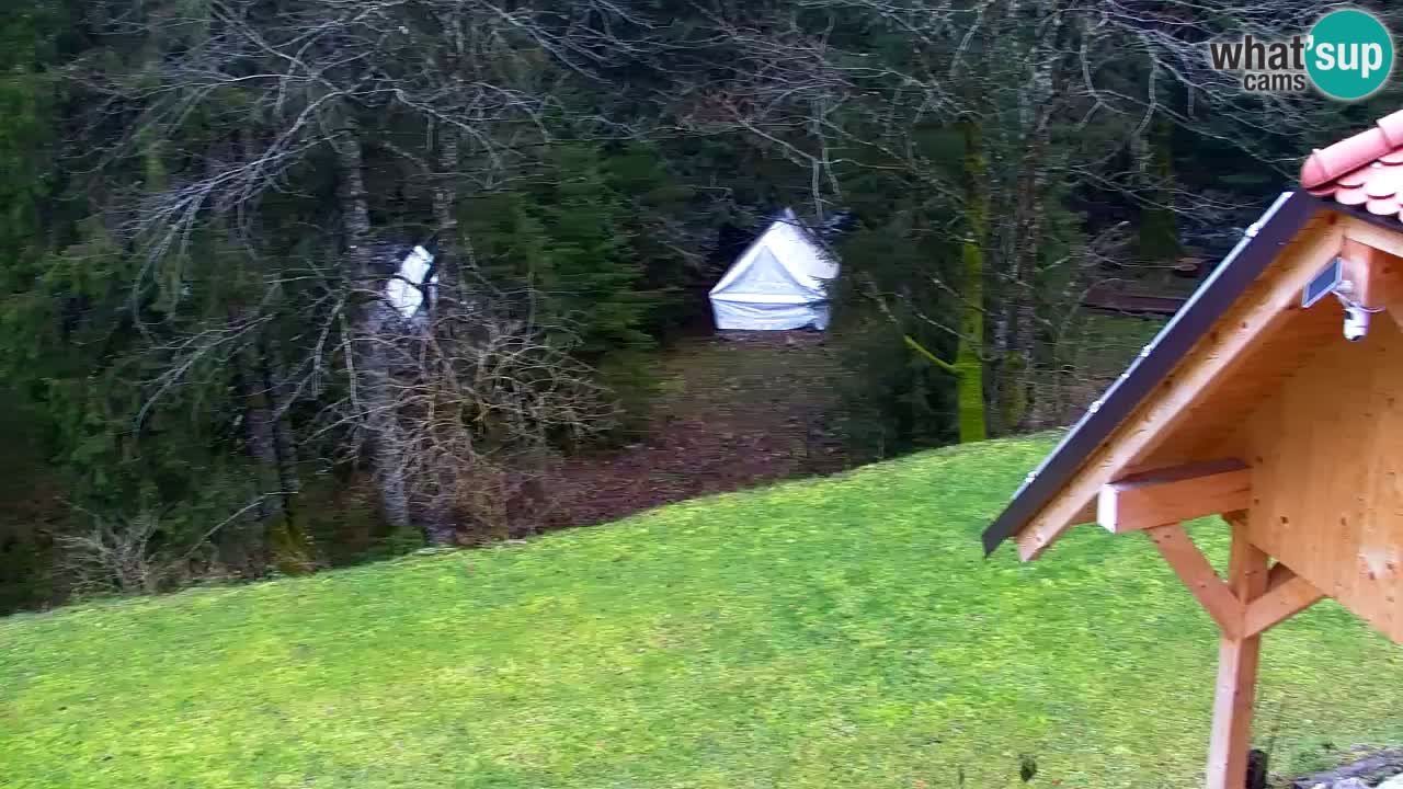 Webcam Lukanja – Water Village | Pohorje Houses