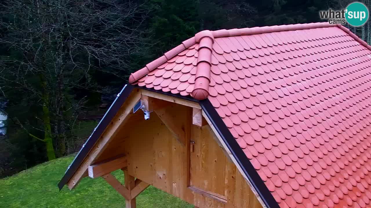 Webcam Lukanja – Water Village | Pohorje Houses