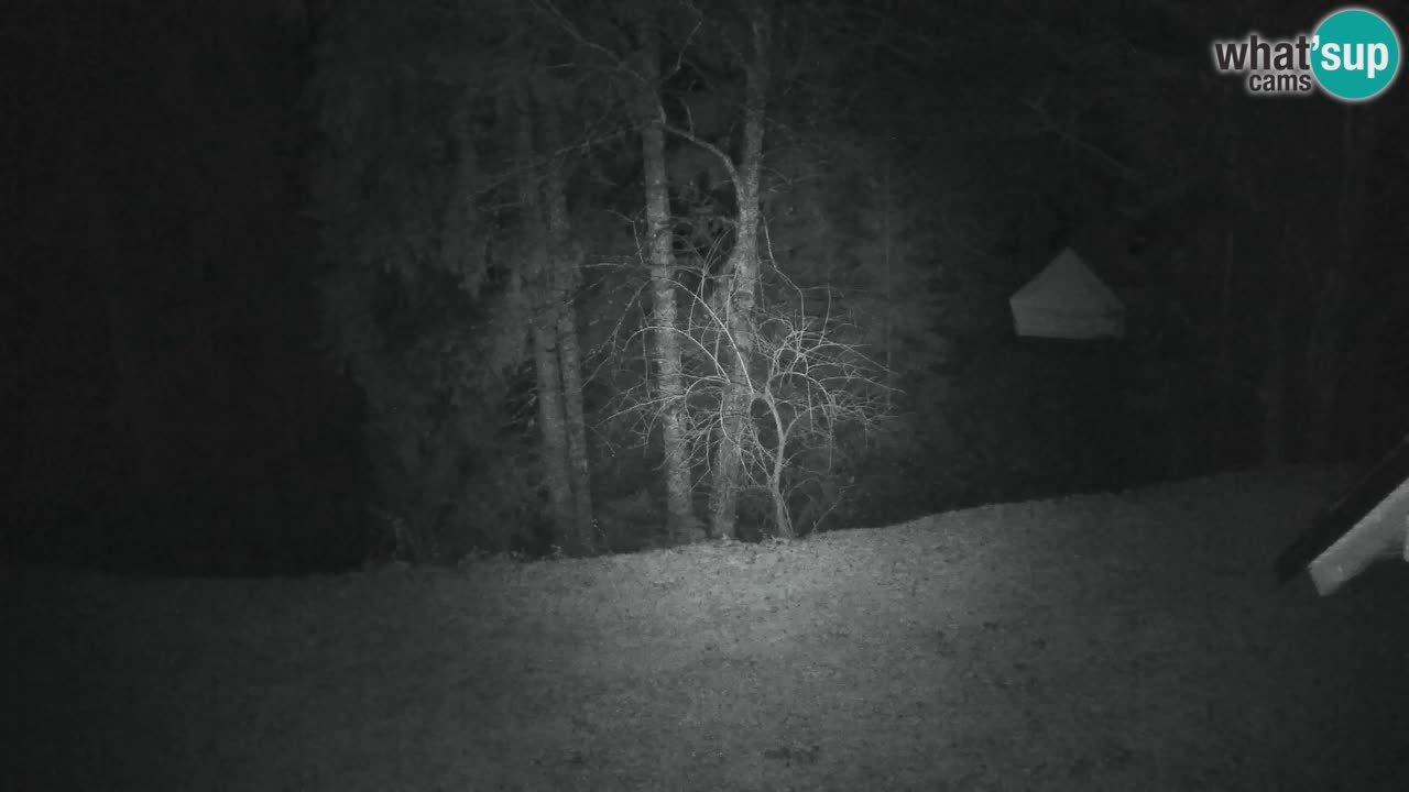 Webcam Lukanja – Pohorje houses a Water village