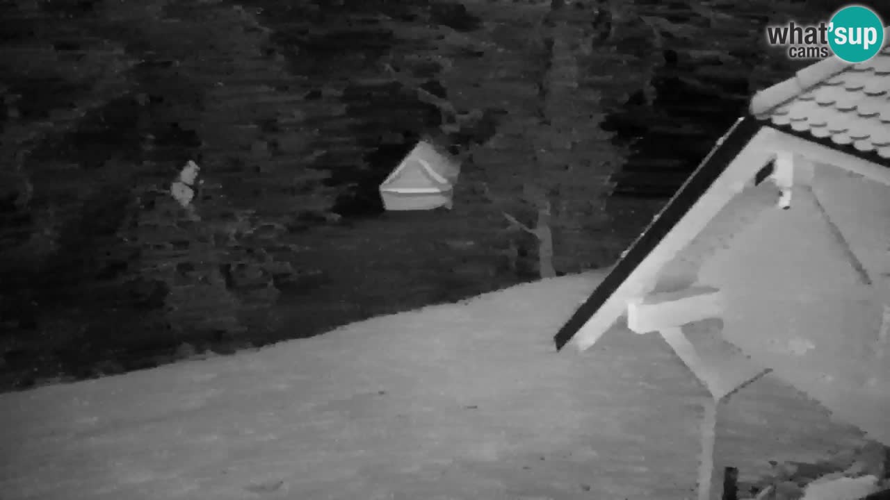 Webcam Lukanja – Water Village | Pohorje Houses