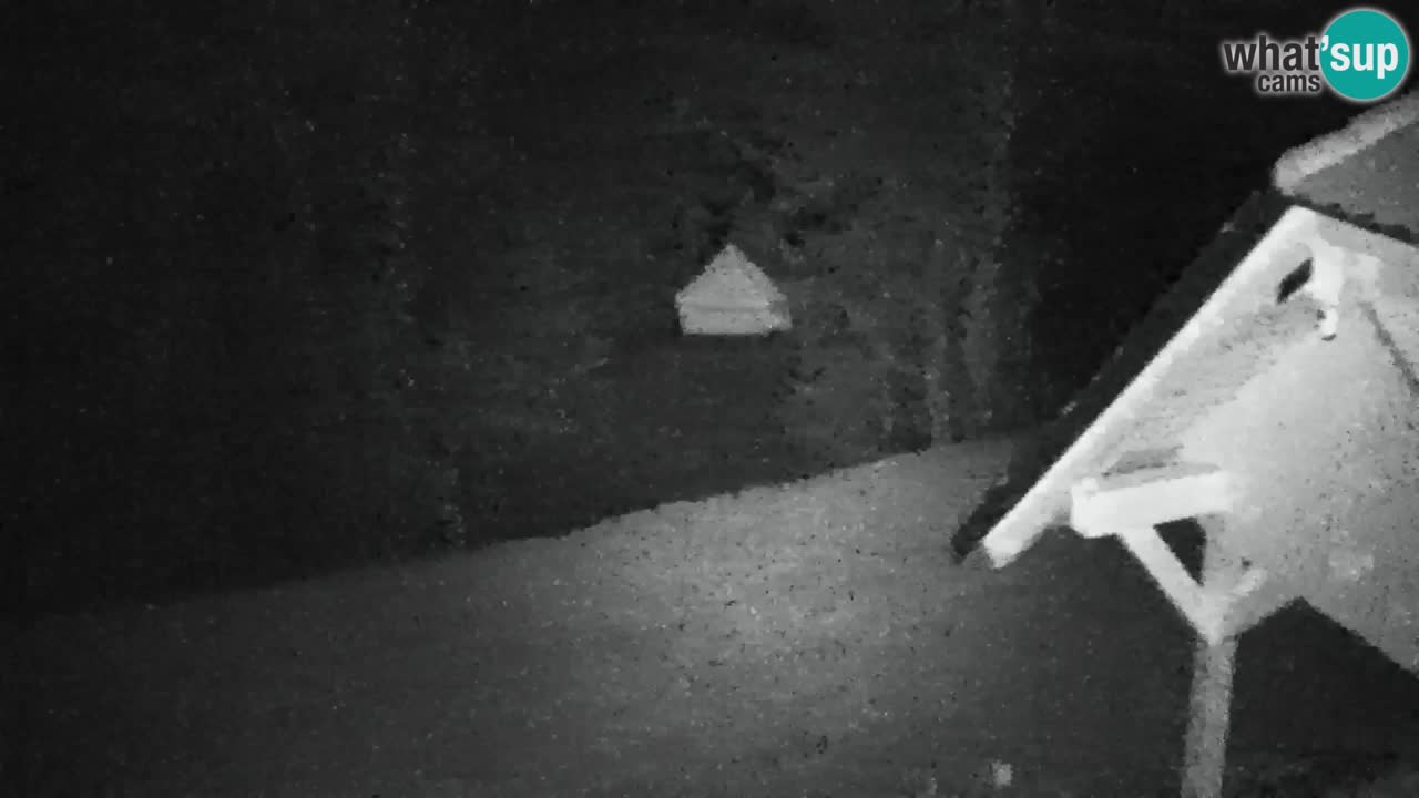 Webcam Lukanja – Pohorje houses a Water village