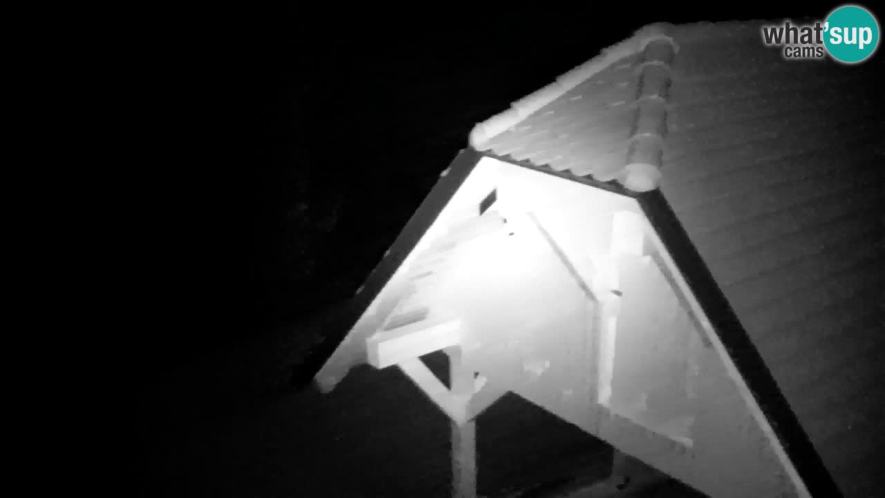 Webcam Lukanja – Water Village | Pohorje Houses