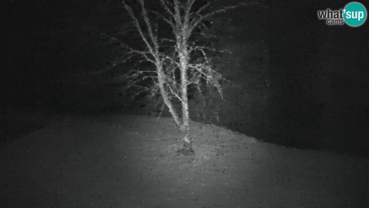 Webcam Lukanja – Water Village | Pohorje Houses