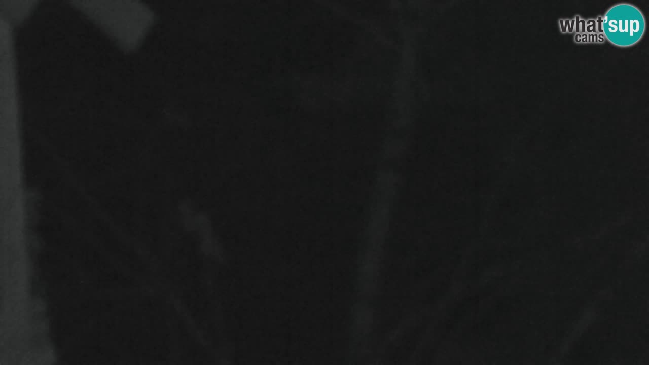 Spletna kamera Lukanja – Water Village | Pohorje Houses