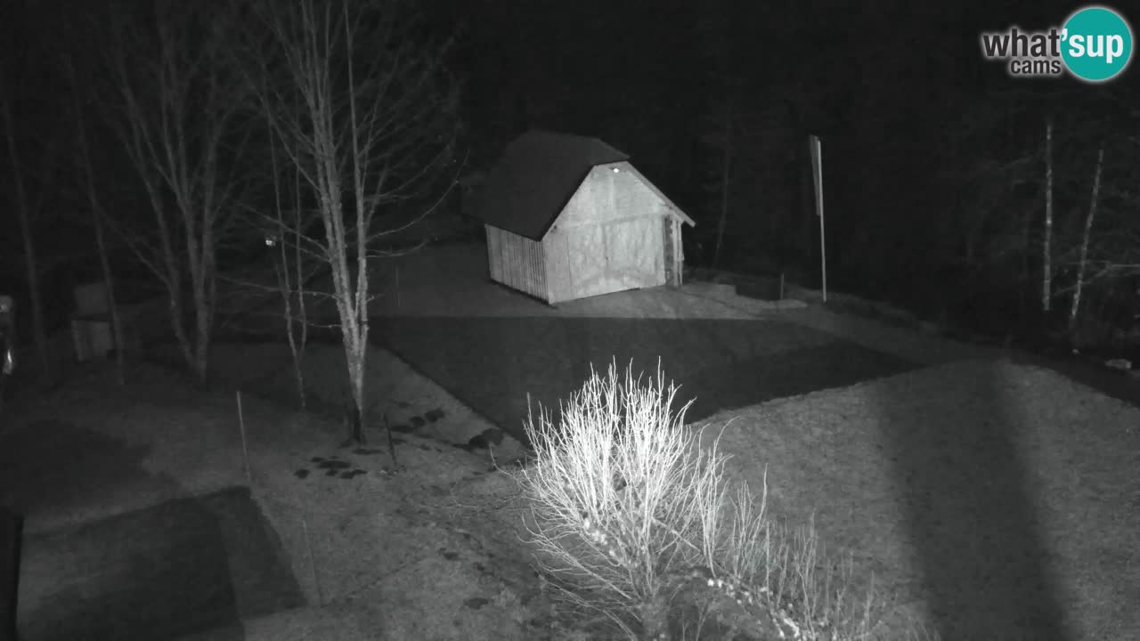 Webcam Lukanja – Water Village | Pohorje Houses